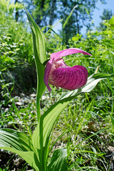 Similar image 10859626