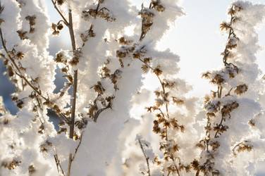 Similar image 10860175