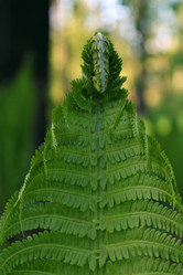 Similar image 10860588