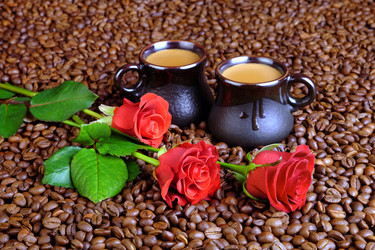 Similar image 10860418