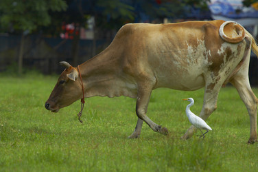 Similar image 10866412