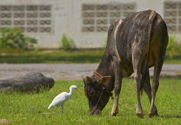 Similar image 10866413