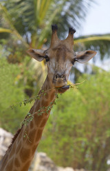 Similar image 10866392