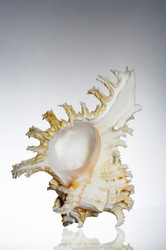 Similar image 10866419