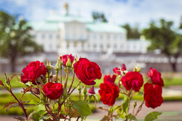 Similar image 10886897