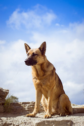 Similar image 10886900