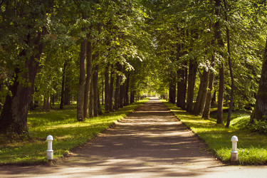 Similar image 10887110