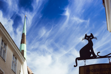 Similar image 10895364