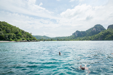 Similar image 10878395