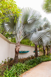 Similar image 10878396