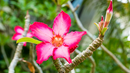 Similar image 10878400