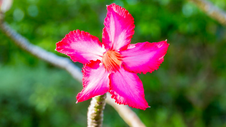 Similar image 10878401