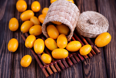 Similar image 10871994