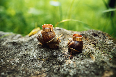 Similar image 10863700