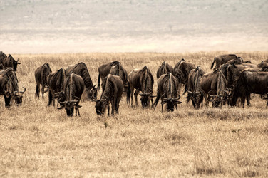 Similar image 10864831