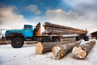 Similar image 10900453