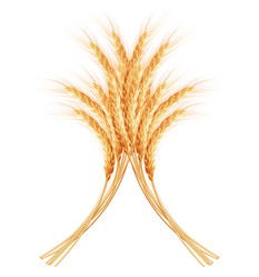 Similar image 10867969