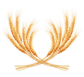 Similar image 10867971