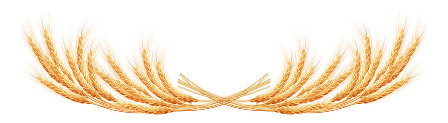 Similar image 10867973