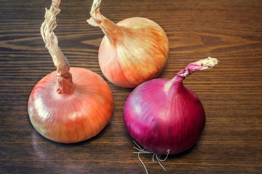 Similar image 10863570