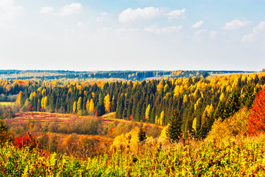 Similar image 10878556