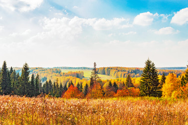 Similar image 10878557