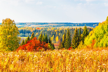 Similar image 10878558