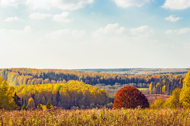 Similar image 10878563