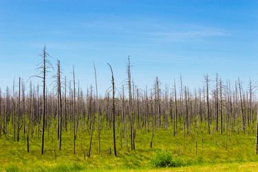 Similar image 10878565