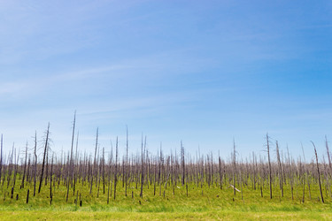 Similar image 10878566