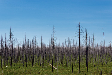 Similar image 10878567