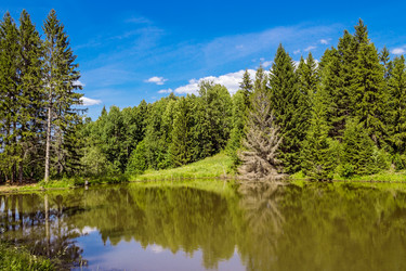 Similar image 10878568