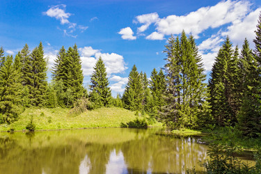 Similar image 10878569