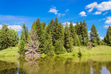 Similar image 10878570