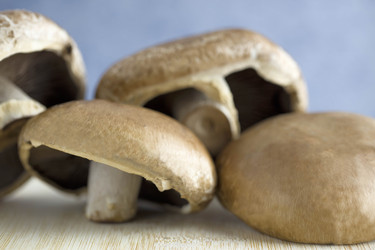 Similar image 10864910