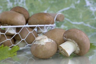 Similar image 10864911