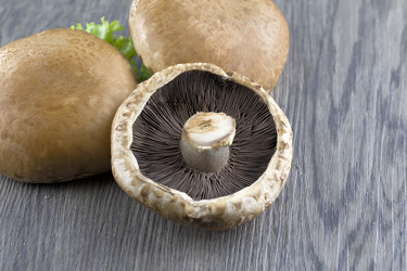 Similar image 10864912