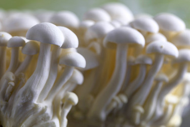 Similar image 10864932