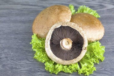 Similar image 10864933