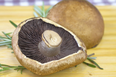 Similar image 10864936