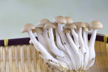 Similar image 10864844