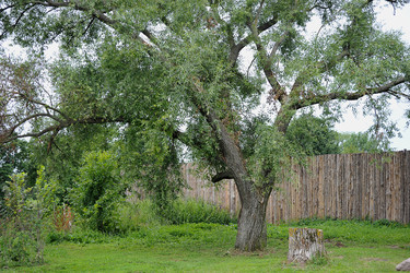 Similar image 10873547