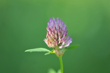 Similar image 10873582