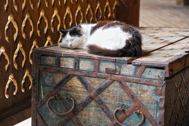 Similar image 10873824