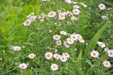 Similar image 10873825