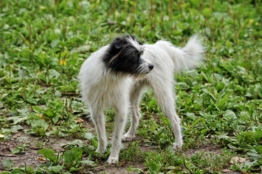 Similar image 10873827