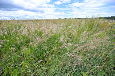 Similar image 10873969