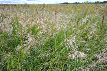 Similar image 10873971