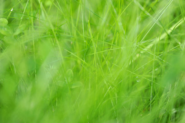 Similar image 10874067