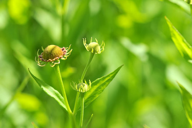 Similar image 10874111